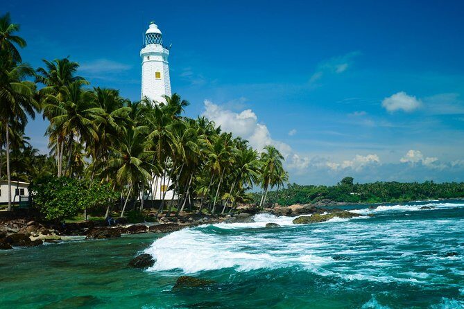 Day Excursions to Galle Fort & Bentota from Colombo - Kosgoda Sea Turtle Conservation Project: the most meaningful stop