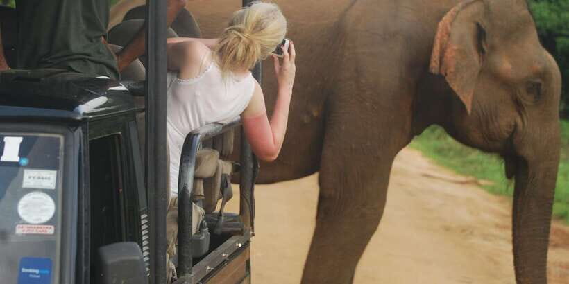 Day Safari From Hambantota - No Rush, Custom Route: How the Guide Shapes Your Chances