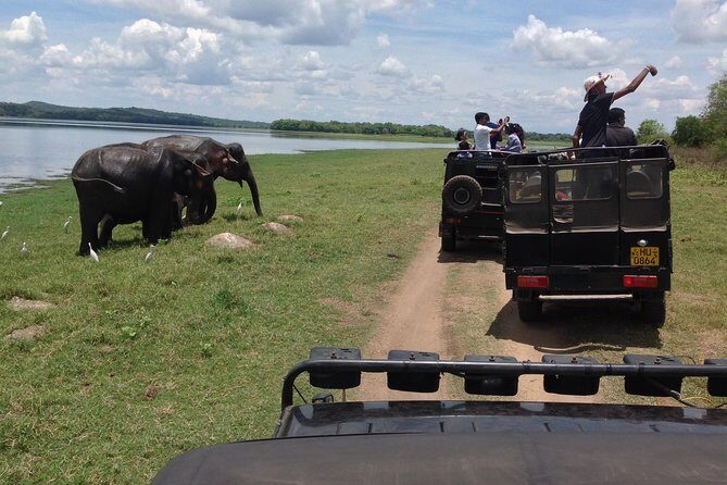 Day Tour from kandy to Sigiriya, Dambulla & National Park safari. - Key Highlights You’ll Actually Care About