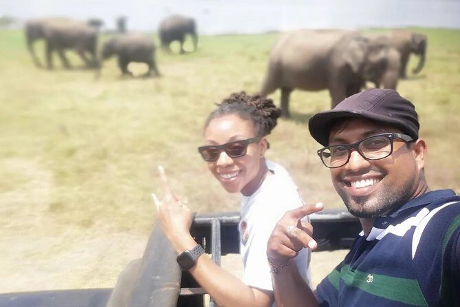 Day Tour from kandy to Sigiriya, Dambulla & National Park safari. - Minneriya National Park Safari: Chasing the Elephant Gathering