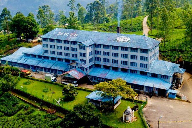 Day Tour of Nuwara Eliya - What to bring for a comfortable 8–9 hours in the hills