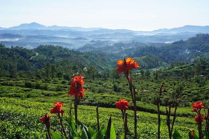 Day Tour of Nuwara Eliya - Price and value: is $45 a fair deal for this route?