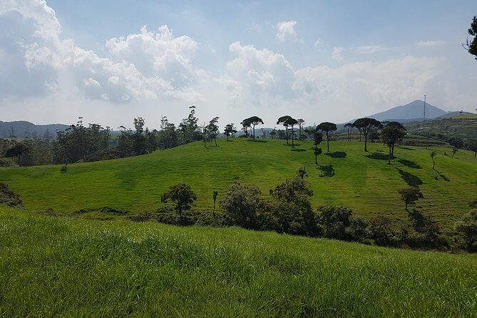 Day Tour of Nuwara Eliya - Should you book this day tour?