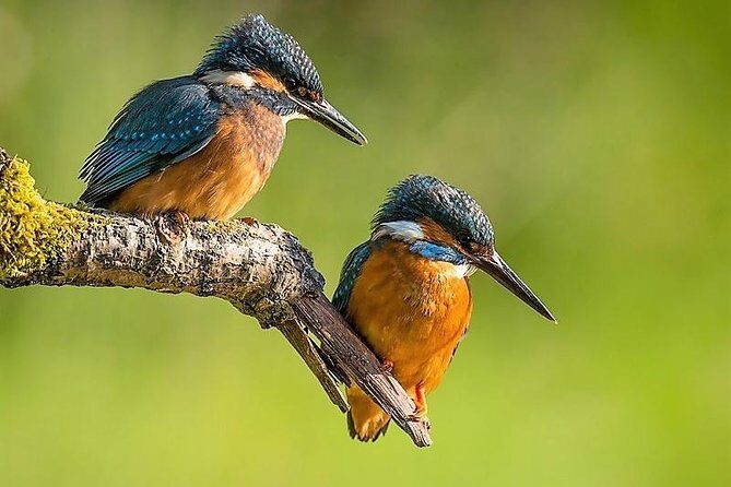 Day Tour to Anawilundawa Wetland Sanctuary - Key highlights at a glance