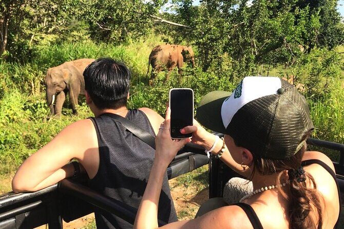 Day Tour to Dambulla, Sigiriya and Safari from Kandy (Group Tour) - Minneriya National Park safari: elephants, timing, and staying flexible