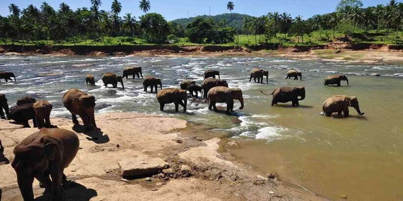 Day Tour to Elephant Orphanage / spice garden - The 6-hour rhythm: what you’ll likely feel in practice