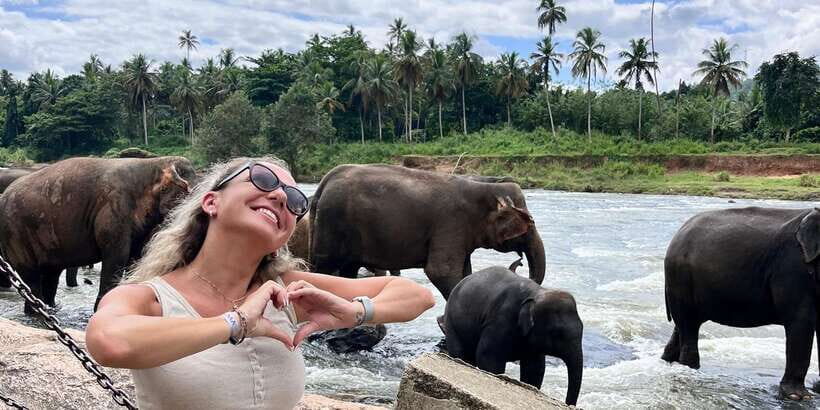 Day Tour to Elephant Orphanage / spice garden - The short coffee and snacks break: useful, not a meal