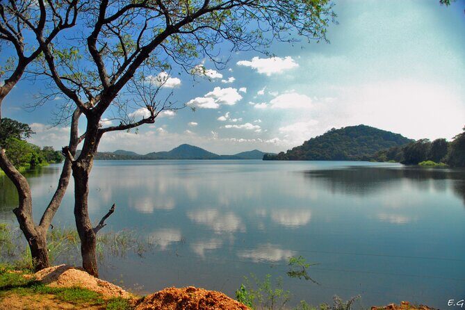 Day tour to Minneriya National Park,Sigiriya & Dambulla from Kandy - Minneriya National Park safari: when elephants really show up