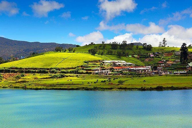 Day Tour to Nuwara Eliya from Kandy by Lux Tours Lanka - Stop 1: Gregory Lake for an easy, scenic start