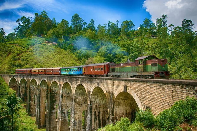 Day tour to Sigiriya via Dambulla From Kandy - Ranweli Spice Garden: learn what you’re actually eating