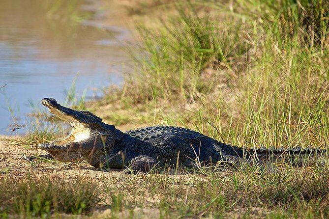 Day Tour to Wilpattu National Park from Colombo - Wildlife Etiquette: Small Rules That Affect Your Day