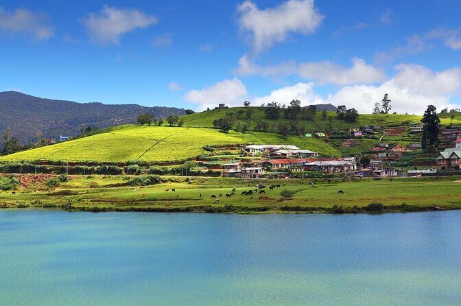 Day Trip to Nuwara eliya from Kandy - Key things you’ll notice before you go