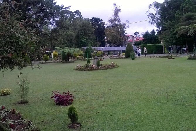 Day Trip to Nuwara eliya from Kandy - Damro Labookellie Tea Centre and Tea Garden: what to look for