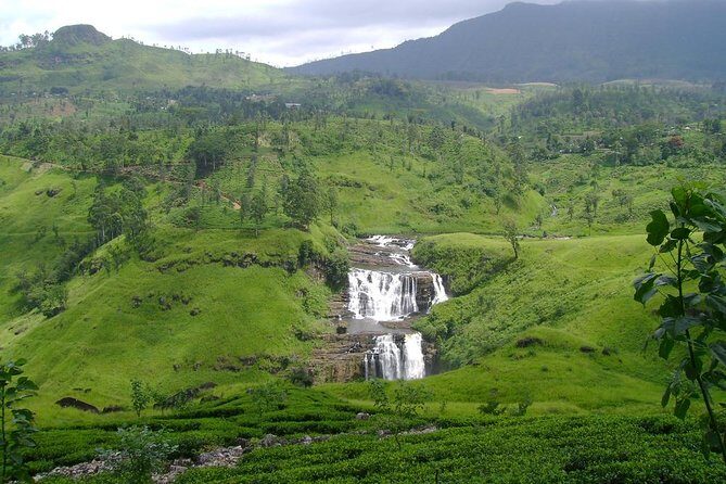 Day Trip to Nuwara Eliya with Kingfisher Tours - How the day feels: fast, scenic, and structured