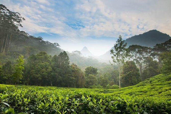 Day Trip to Nuwara Eliya with Kingfisher Tours - Sorborn Gems & Jewellery in Kandy: short stop, useful context