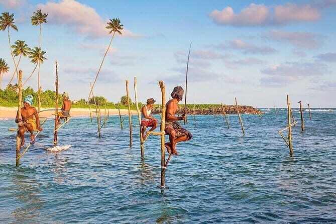 Day trips to Galle from colombo Visiting Its Highlights - Key Highlights You’ll Actually Feel on This Day Trip