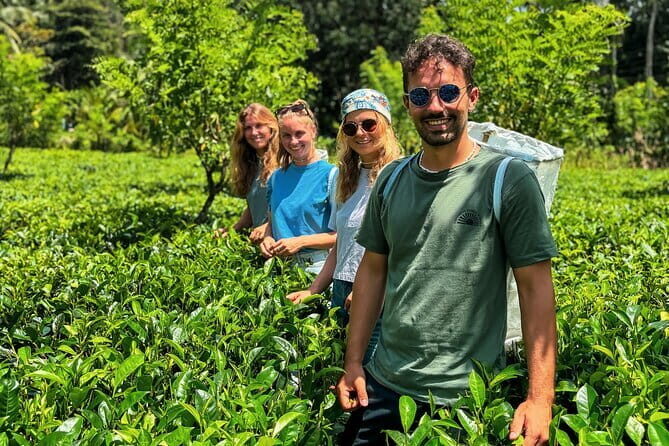 Dediyagala Village Tour(from Galle, Mirissa, Ahangama, Matara) - Key points that make this tour worth your time