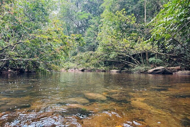 Dediyagala Village Tour(from Galle, Mirissa, Ahangama, Matara) - Dediyagala’s mix of village routines and rainforest trekking