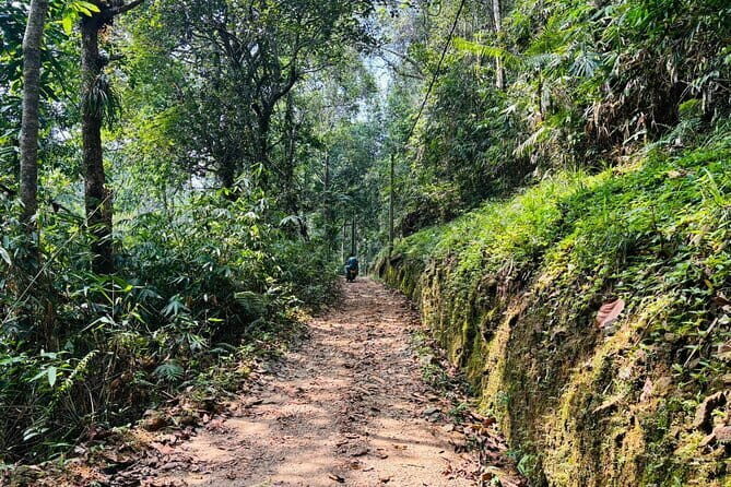 Dediyagala Village Tour(from Galle, Mirissa, Ahangama, Matara) - Optional tea factory and kithul trickle factory visits before you enter the village