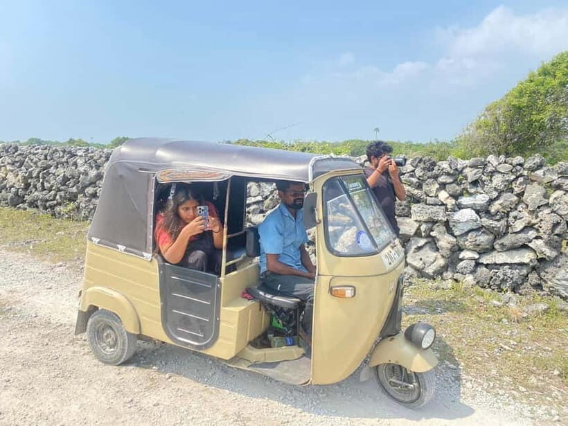 Delft and Nainativu Island Tour with Local Guide ( Jaffna ) - Wild horses on Delft: how to spot them and why this stop is special