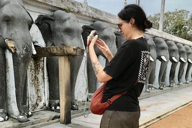 Delve Into Ancient Anuradhapura with Optional Visit to Mihintale - Sri Maha Boodhi Temple: the sacred Bodhi Tree moment