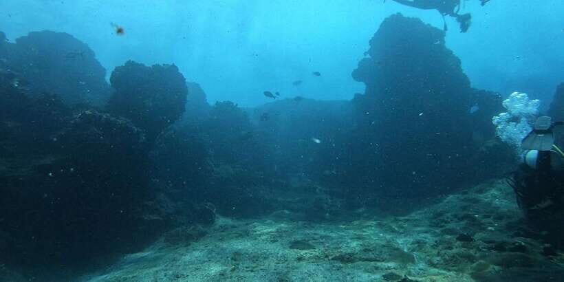 Discover Scuba Diving : Hikkaduwa : Scuba Diving - First Stop: the PADI 5-star training center at Coral Sands Hotel