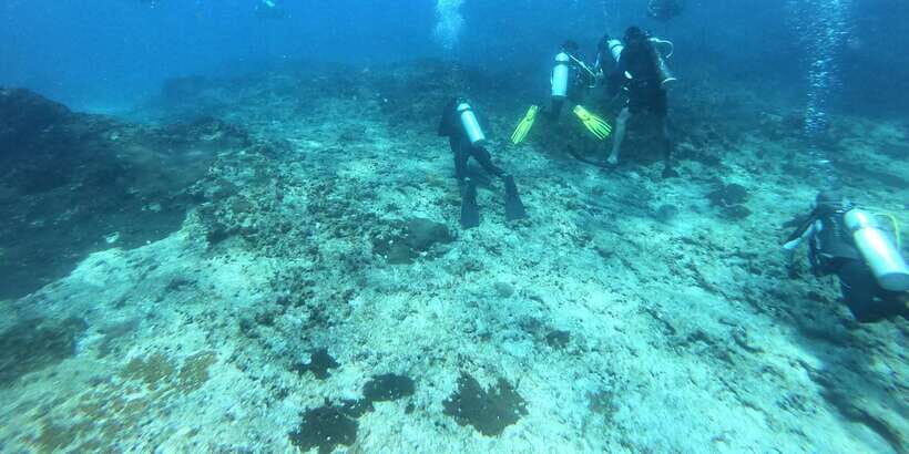 Discover Scuba Diving : Hikkaduwa : Scuba Diving - Check-in, safety briefing, and gear orientation (before you go underwater)