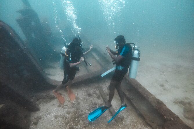 Discover SCUBA Diving in Beautiful Unawatuna Bay - Rock Island Reef: Marine Life, Depth Steps, and the Wreck