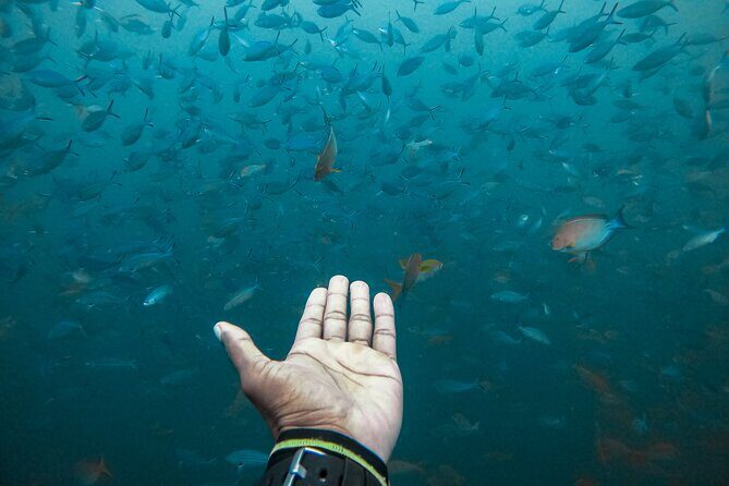 Discover SCUBA Diving in Beautiful Unawatuna Bay - Price and Value: Is $65 a Good Deal?