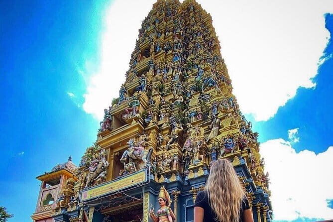 Discover Sigiriya Dambulla and Minneriya Park in Day Tour - Why this Sigiriya–Dambulla–Minneriya day plan is a smart use of time