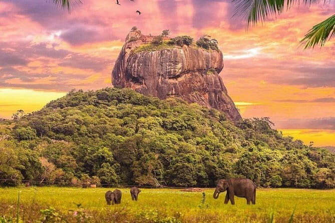 Discover Sigiriya Dambulla and Minneriya Park in Day Tour - Dambulla Cave Temple: 5 cave shrines, murals, and over 150 Buddha statues