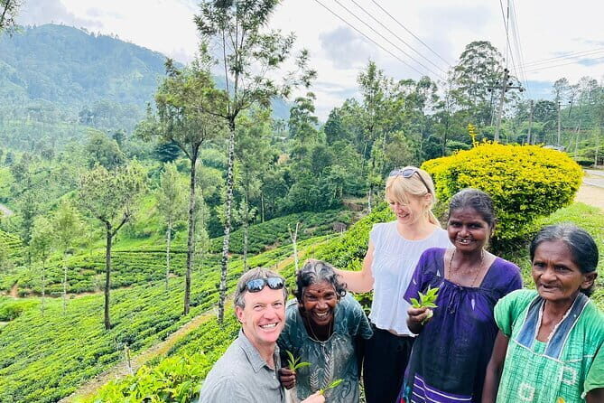 Discover Sri Lanka with Tailored Tours for Timeless Memories - Kandy to Nuwara Eliya: highland start and a change of pace