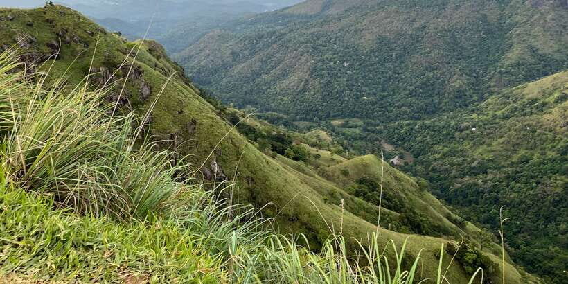 Discover the Best of Sri Lanka in 2 Days - The Hali Ela–Ella train ride, plus Nine Arches Bridge