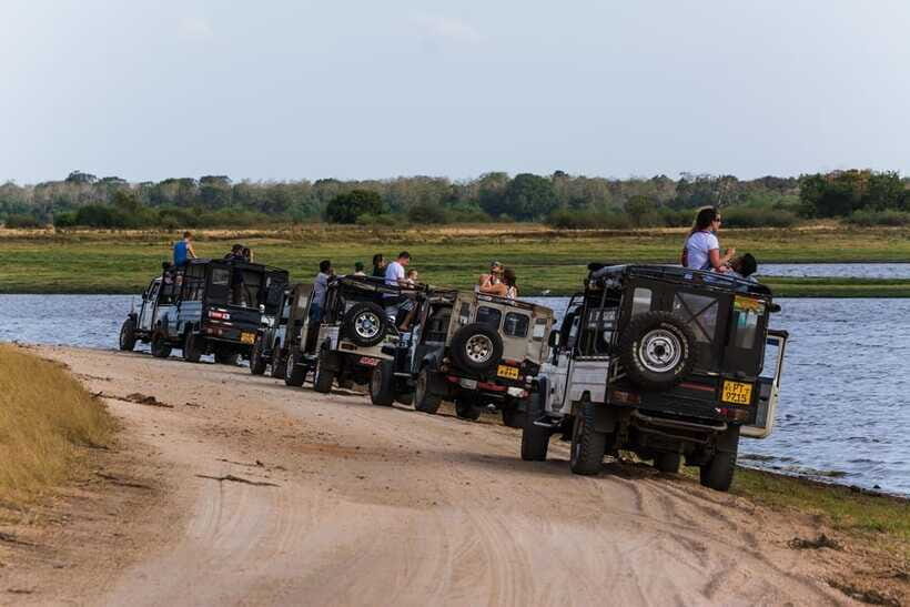 Elephant Jeep Safari at Minneriya National Park - Price and value: is $35 per person a smart deal?