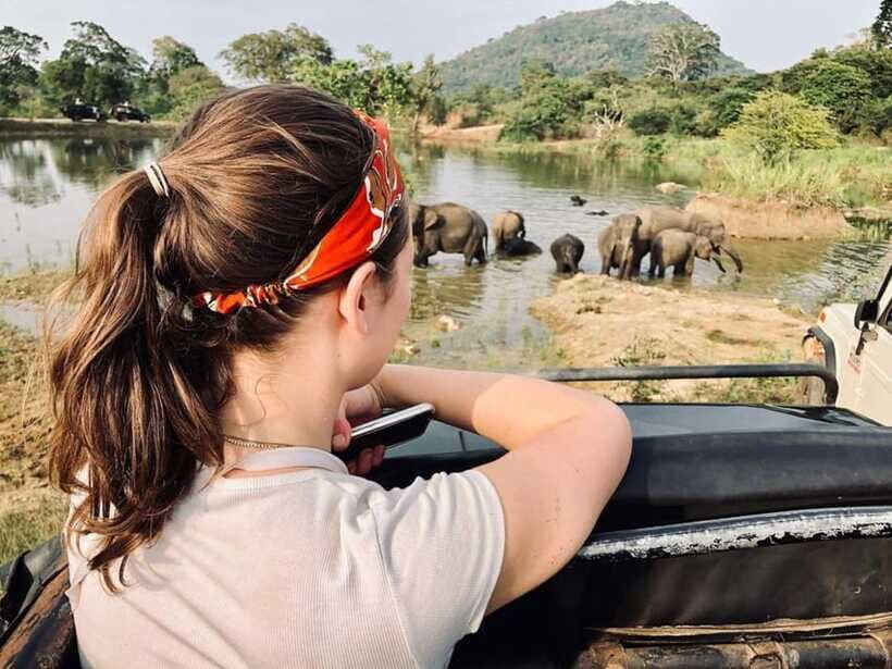 Elephant Kingdom Safari – Minneriya National Park - Wildlife beyond elephants: birds, deer, buffalo, and crocodiles