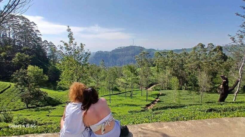 Ella: 9 Arches Bridge, Little Adam's Peak, Tea Factory - Uva Halpewatte Tea Factory: from plucking to tasting