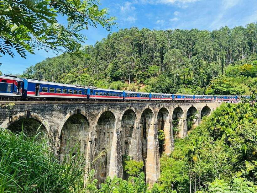 Ella Day Tour from Kandy with tea factory - Ramboda View Point: where tea estates meet mist