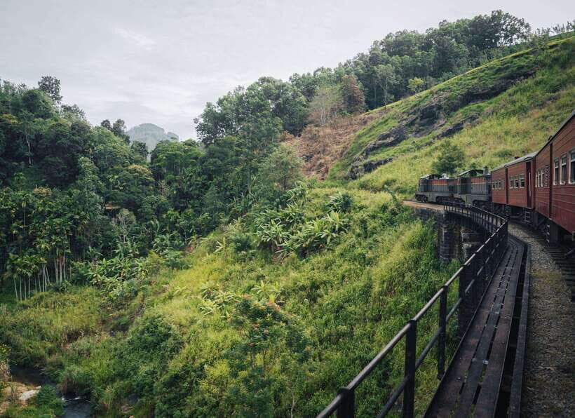 Ella Day Tour: with Tea Factory Visit from Colombo/Bentota - Quick hits before you go