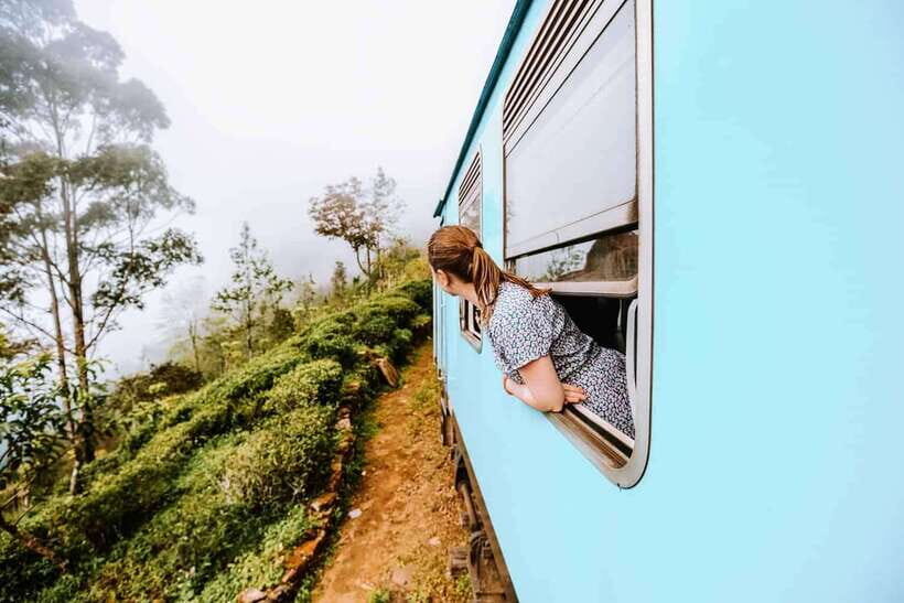 Ella Day Tour: with Tea Factory Visit from Colombo/Bentota - Little Adam’s Peak: The Viewpoint Walk That’s Worth It
