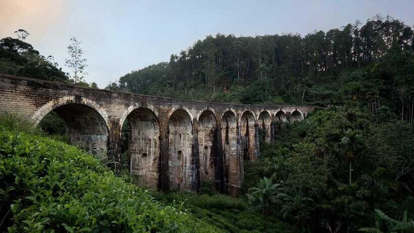 Ella Day Tour: with Tea Factory Visit from Colombo/Bentota - Price and Value: Is $159 Worth It?