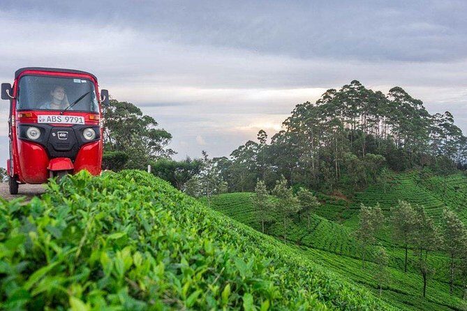 Ella Day Trip from Mirissa, Weligama, Galle, Hikkaduwa - Stop 2: Little Adam’s Peak for sunset or sunrise views