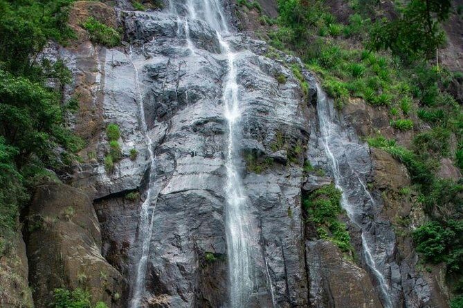 Ella Day Trip from Mirissa, Weligama, Galle, Hikkaduwa - Tea plantation walks and tea tastings: how to make it real