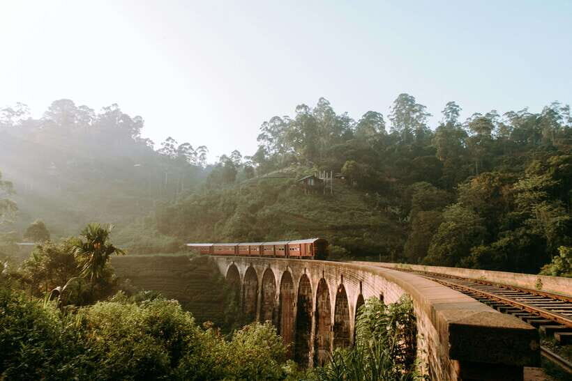 Ella: First Class Scenic Train Ticket To/From Nanuoya - Who should book this train ticket?