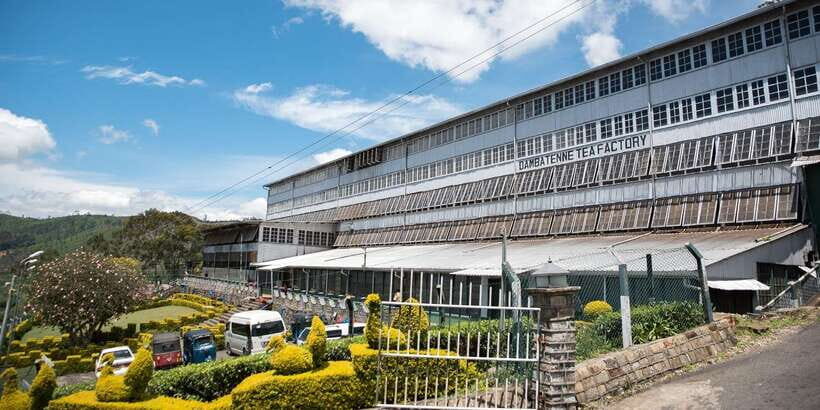 Ella: Lipton's Seat Tour with Dambetanna Tea Factory Visit - Dambethenna Tea Factory Visit (Built 1890): How Fermentation to Grading Gets Explained