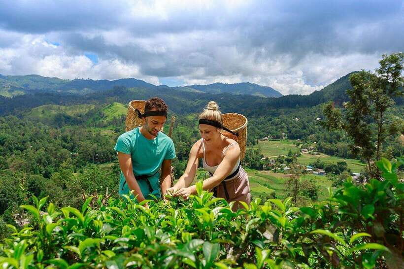 Ella: Little Adam's Peak, 9 Arch Bridge, Ravana Falls Tour - Who this tour suits best