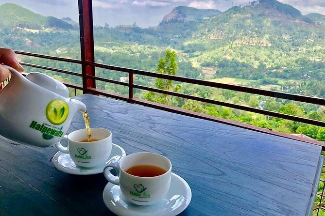 Ella Private Day Tour From Kandy - Ella From Kandy in One Day: What Makes This Tour Work