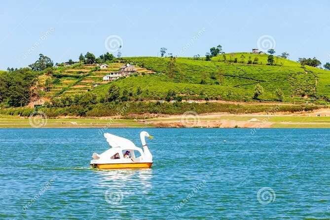 Ella Private Day Tour From Kandy - Gregory Lake and Nuwara Eliya Time: Cooler Air and a Breather
