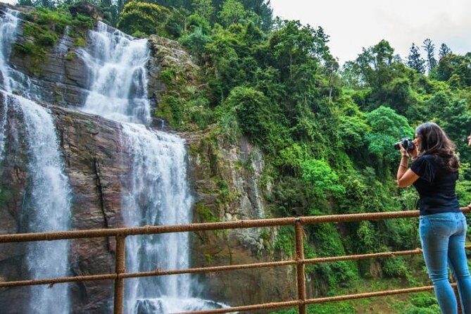 Ella Private Day Tour From Kandy - Damro Labookellie Tea Centre and Tea Garden: The Best Teas Aren’t Just a Story