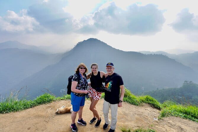 Ella Private Day Tour with Train Ride and Visit to Nine Arch - Price and value: why $145 can make sense for this route