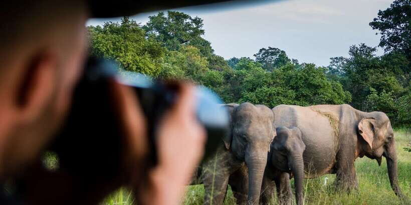 Ella: Shuttle to Tangalle/Mirissa/Galle & Udawalawa Safari - The open safari jeep: great views, real-life bumps